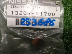 �������� ������������ Nissan 13207V1700 TD23 [253686] 13207V1700 ����