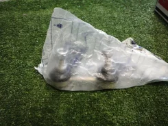 ���� Mitsubishi MB809354, ������ [254114] MB809354 ����