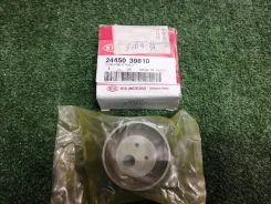 ����� �������� Hyundai 2445039810 [256117] 2445039810 ����