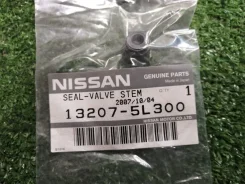 �������� ������������ Nissan 132075L300 KA24DE [352191] 132075L300 ����