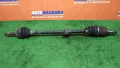������ Nissan AD 1999-2008 391004M475 VFY11 QG15DE, �������� ������ [416374] 391004M475 ����