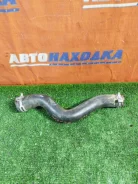 �������� ��������� Citroen C4 2008-2011 1343KX LC DV6TED4 [466623] 1343KX ����