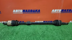 ������ Nissan Wingroad 1999-2005 391004M470 WFY11 QG15DE, �������� ������ [493033] 391004M470 ����
