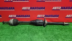 ������ Toyota GAIA 1998-2004 4341044070 ACM10G 1AZ-FSE, �������� ������ [499607] 4341044070 ����