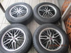 Kyoho Steiner LMX