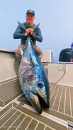 ���������� ���������� "������� ������� �� ������" ����