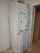 ������������ ������������. ����