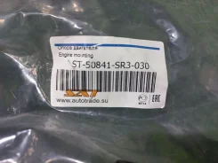 ������� ��� D16A RD2, EG1 ST-50841-SR3-030, ������ �������� ST50841SR3030 ����