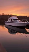 Yamaha SR-25. 1989 ���, ����� 7,5��., ��������� ������������, 460��.�., ������ ����