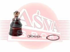 ����� ������� ��������� ������ | ����� ����/��� | Nissan/Primera P12Nissan/ Primera P12 2001- ASVA ���. 0220P12 0220P12 ����