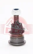 ����� ������� �������� ������ | ����� ����/��� | Chrysler Stratus 95-04 ASVA ���. 2020001 ASVA 2020001 ����