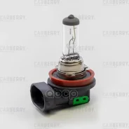 ����� H16 12V (19W) DayNight H16 12V (19W) PGJ19-3 Carberry ���. 31CA6 31CA6 ����