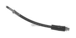 ����� ��������� | ��� ����/��� | BMW 1 (E81) 116 i 04.2007 - 12.2011 BMW 3 (F30, F80) 320 i 04.2011 - Brembo ���. T06032 T06032 ����