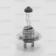 ����� �7 12V (55W) DayNight H7 12V (55W) PX26D Carberry ���. 31CA13 31CA13 ����
