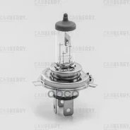 ����� H4 12V (60/55W) DayNight H4 12V (60/55W) PX43T Carberry ���. 31CA7 Carberry 31CA7 ����