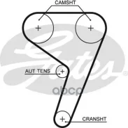 ������ ��� FORD Fiesta 1.25-1.6 95-, Focus 1.4, 1.6 04-, PUMA 1.4-1.7 16V 97- Gates ���. 5433XS 76117x22 HSN 5433XS ����