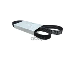�������� �������� ������ BMW ���. 11288580361 11288580361 ����