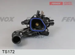 ��������� Peugeot 207 2006- Fenox ���. TS172 TS172 ����