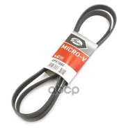 ������ ������������ Toyota Vista, OPA, RAV4, Premio, Celica 1ZZ 02- AUDI A4 95-, A6 97-/ OPEL Vectra C 2.0 16V 02-/ Skoda Fabia 1.2 01- Gates ���. 6PK...