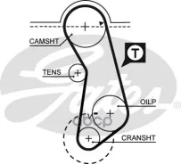 ������ ��� AUDI 80 -94, 100 -90/ VW GOLF, 1.8 84-97, Passat -96, Vento 1.8 91-98 Gates ���. 5016 41121�18 Gates 5016 ����