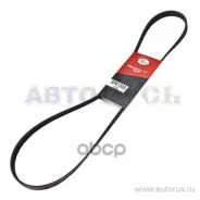 ������ ������������ AUDI A4 95-01, A6 1.8 97-/ MB A W169 04-, W245 05-/ Mitsubishi COLT 1.6 94-/ VW Passat 1.6-2.0 96- Gates ���. 5PK1303 XF 58389 Gat...