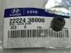 ������������ �������� ������� ��������� Hyundai-KIA ���. 2222438000 2222438000 ����