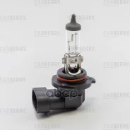 ����� HB4 12V (51W) DayNight HB4 (51W) 12V Carberry ���. 31CA2 31CA2 ����