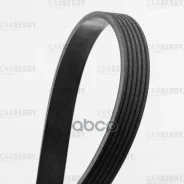 ������ ������������ Universal Carberry ���. 6PK1565 6PK1565 ����