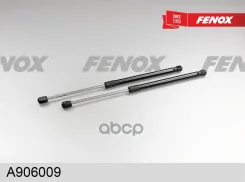 ���� ������� Hyundai Santa Fe II 06- Fenox ���. A906009 A906009 ����