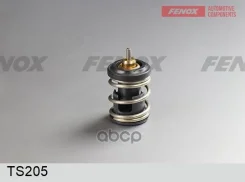 ��������� VW Polo 12- Skoda Rapid 14- Fenox ���. TS205 Fenox TS205 ����
