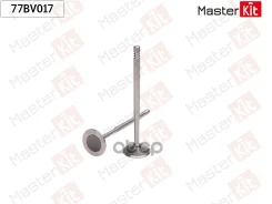 ������ �������� VAG MasterKit ���. 77BV017 77BV017 ����