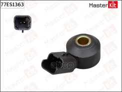 ������ ��������� Citroen / Peugeot MasterKit ���. 77ES1363 77ES1363 ����
