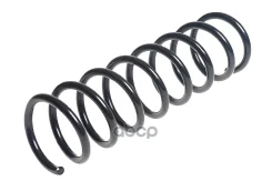 ������� ������� ����� | ��� ����/��� | Focus 4/11- Standard Springs ���. ST110001R ST110001R ����