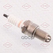 ����� ��������� Multielectrode DYR6EQM BUR6ET AUDI/VW/SEAT/Skoda/FIAT/Lancia Tatsumi ���. THS3003 THS3003 ����