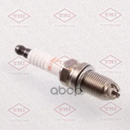 ����� ��������� Multielectrode DLYR6EQM-10 BKUR6ET-10 AUDI/VW/Skoda/SEAT/Mercedes Tatsumi ���. THS3001 THS3001 ����
