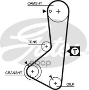 ������ ��� Hyundai Sonata 1.8-2.0 88-93/ Mitsubishi L300 1.8, 2.0 86- Gates ���. 5075XS 122x3/ 4 5075XS ����