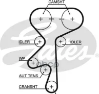 ������ ��� OPEL Astra G 1.4-1.8 98-, Vectra C 1.8 02-, Zafira 1.6, 1.8 99- Gates ���. 5499XS 40818x20 HSN 5499XS ����