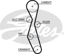 ������ ��� Citroen C4, C5 2.0D 04-/ Peugeot 307,407 2.0D 03-/ FORD 2.0D 04- Gates ���. 5606XS 116x25.4 5606XS ����