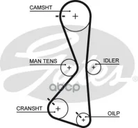 ������ ��� Mitsubishi Grandis, Outlander 2.4 03- Gates ���. 5609XS 122x20 5609XS ����