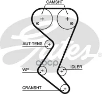 ������ ��� Citroen C4, C5 2.0 04-/ Peugeot 206, 307 2.0 03- Gates ���. 5608XS 153x25 5608XS ����