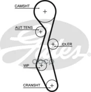 ������ ��� FORD Mondeo IV 07/10 Gates ���. 5633XS 5633XS ����