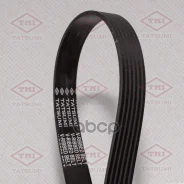 ������ ������������ 6PK1100 6PK1100 Tatsumi ���. TFB1285 TFB1285 ����