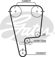 ������ ��� Honda Accord H22A 89- Gates ���. T226 T226 ����