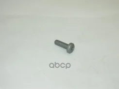 ���� VAG ���. N10124306 N10124306 ����