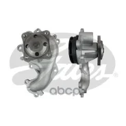 ����� �������� ���������� Diesel FORD Focus 04/05-09/12, C-MAX 02/07-09/10, Fiesta 04/00-01/02 Gates ���. WP0145 WP0145 ����