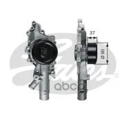 ����� �������� ���������� Diesel Mercedes CLC200 05/08-06/11, C200 08/07-01/14, E220 03/03-12/08 Gates ���. WP0124 WP0124 ����