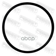 ������ �������������� ���������� ������ 55x2.62 | ����/��� | AUDI, BMW, Volkswagen, SEAT, Skodaa3, S3, Sportb. LIM. QU. X3 E83, T Febest ���. 19400002...