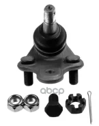 ����� ������� | ����� ����/��� | Toyota Avensis 09/97-10/00, Carina E 12/93-09/97, Corolla 07/92-04/97 Lemforder ���. 1643204 1643204 ����