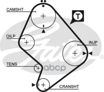 ������ ��� Toyota Hiace, LAND Cruiser 2-5L 89-/ VW TARO 2.4D 89-97 Gates ���. 5214XS 129x31 5214XS ����