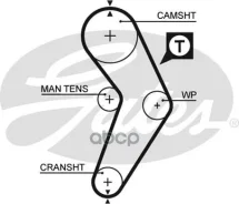 ������ ��� Renault 19 1.4 92-96, CLIO 1.2, 1.4 91-98, Megane 1.4, 1.6 96- Gates ���. 5192XS 58095x17 HSN Gates 5192XS ����